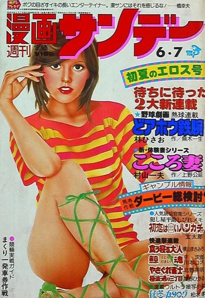 Cover of No. 27, 1977