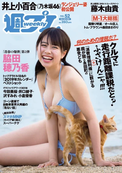 Cover of Volume #201852