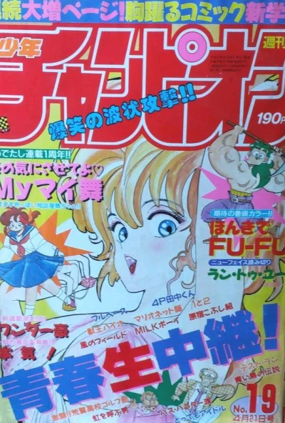 Cover of No. 19, 1989