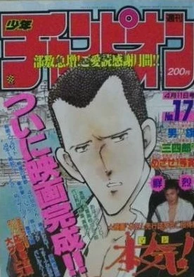 Cover of No. 17, 1991