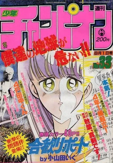Cover of No. 33, 1991
