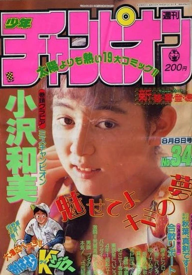 Cover of No. 34, 1991