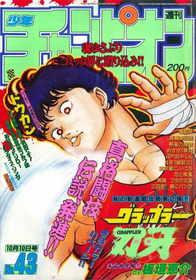 Cover of No. 43, 1991