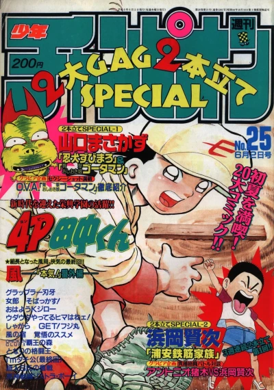 Cover of No. 25, 1994