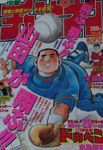 Cover of No. 30, 1995