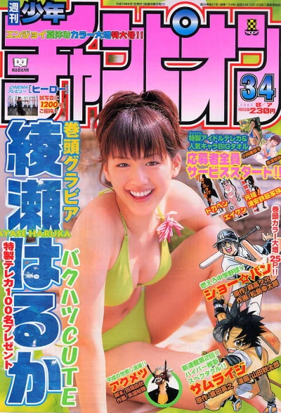 Cover of No. 34, 2003