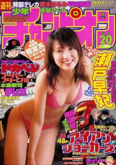 Cover of No. 20, 2004