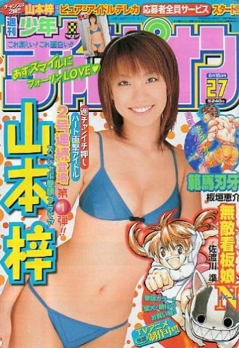 Cover of No. 27, 2006