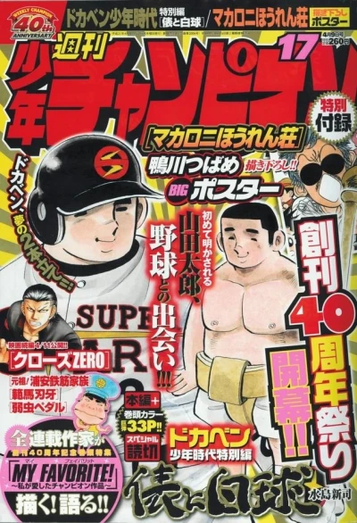Cover of No. 17, 2009