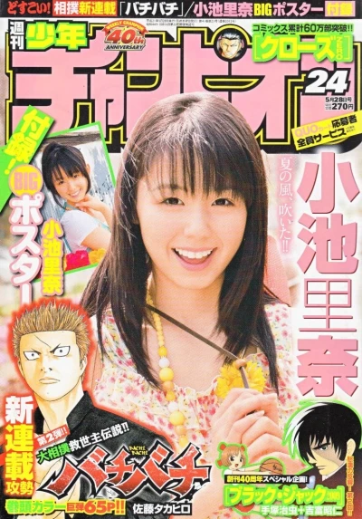Cover of No. 24, 2009