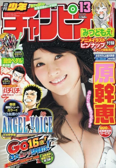 Cover of No. 13, 2010