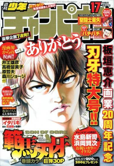 Cover of No. 17, 2010