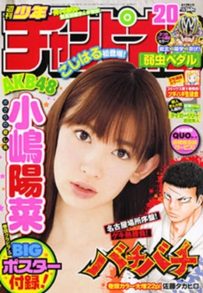 Cover of No. 20, 2010