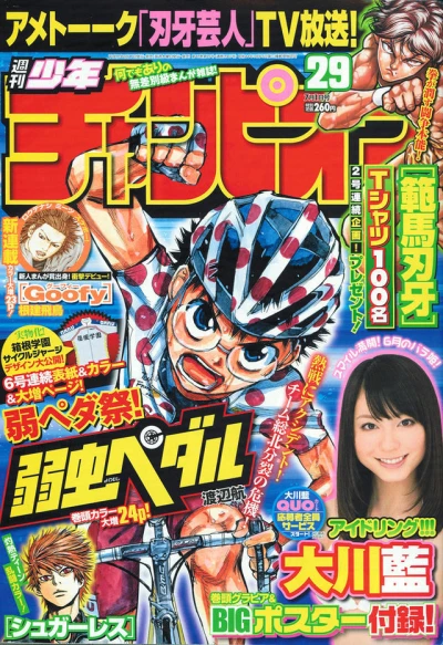 Cover of No. 29, 2010