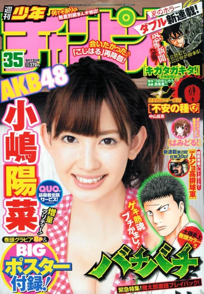 Cover of No. 35, 2010