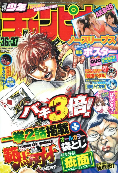 Cover of No. 36-37, 2010