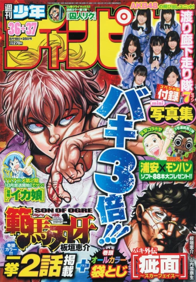 Cover of No. 36-37, 2011