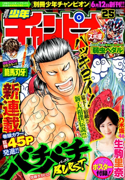 Cover of No. 25, 2012
