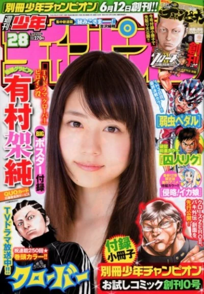 Cover of No. 28, 2012