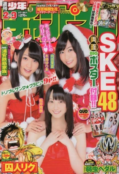 Cover of No. 2-3, 2013