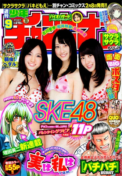 Cover of No. 9, 2013