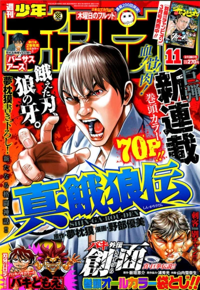 Cover of No. 11, 2013