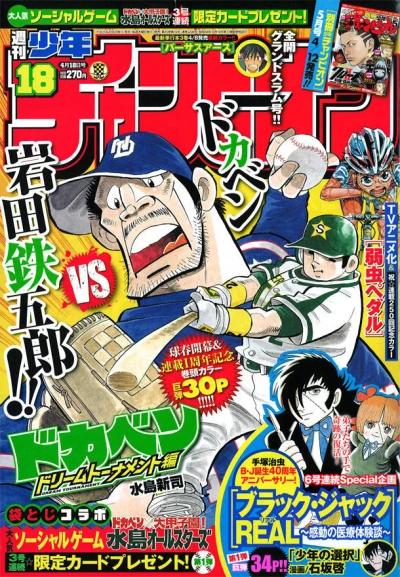 Cover of No. 18, 2013