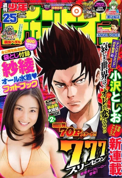 Cover of No. 25, 2013