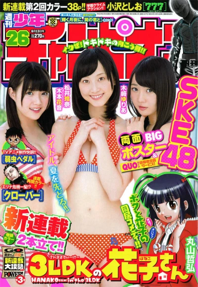 Cover of No. 26, 2013