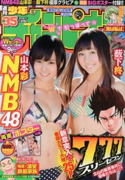 Cover of No. 35, 2013