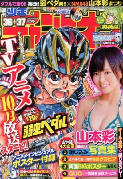 Cover of No. 36-37, 2013