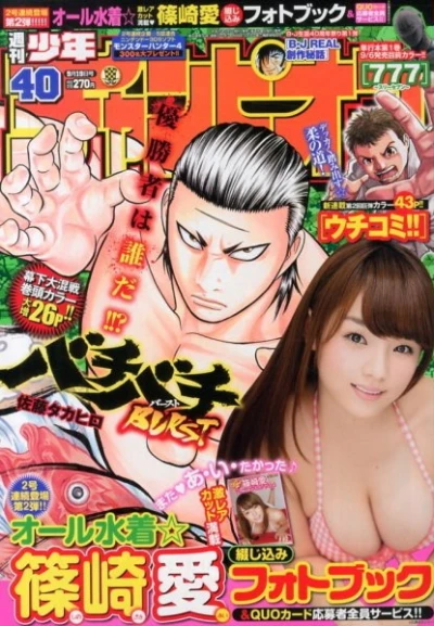 Cover of No. 40, 2013