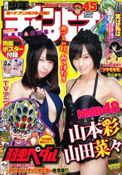 Cover of No. 45, 2013