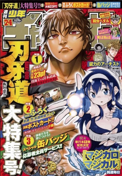 Cover of No. 24, 2015