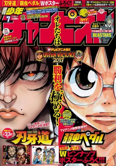 Cover of No. 7, 2017