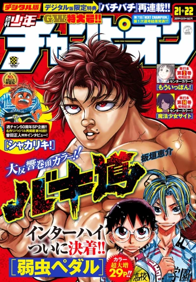 Cover of No. 21-22, 2019