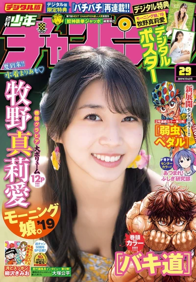 Cover of No. 29, 2019