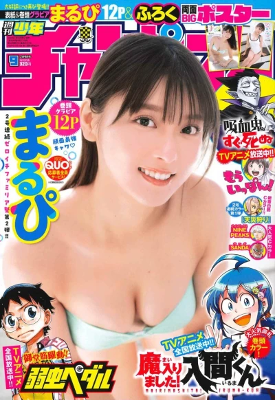 Cover of No. 9, 2023