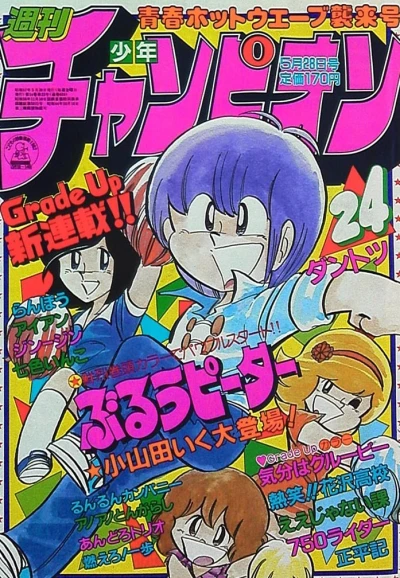Cover of No. 24, 1982