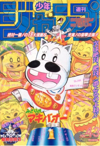 Cover of No. 43, 1995