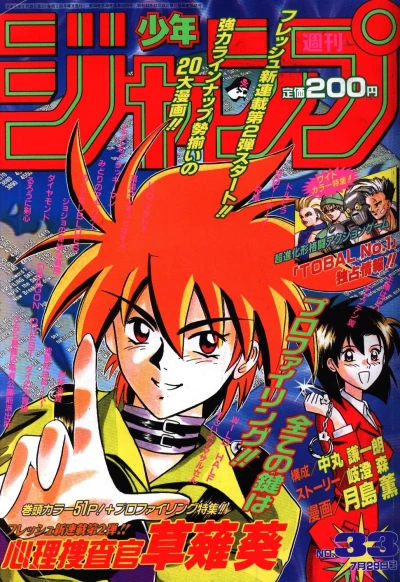 Cover of No. 33, 1996
