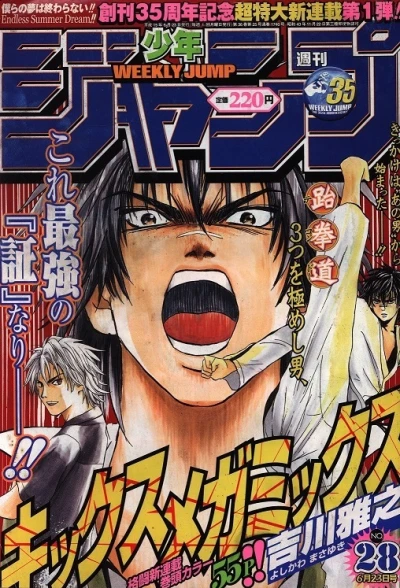 Cover of No. 28, 2003