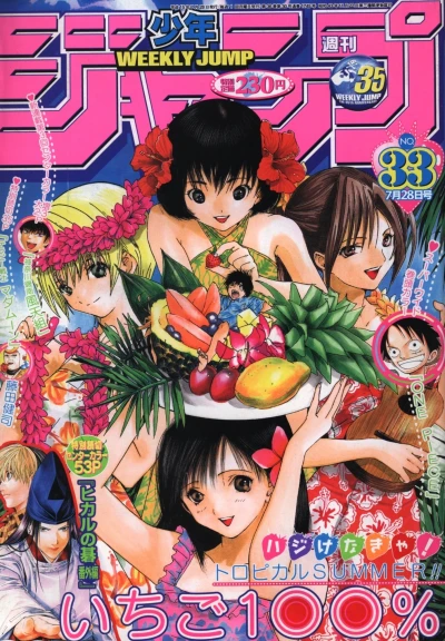 Cover of No. 33, 2003