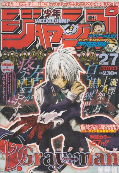 Cover of No. 27, 2004