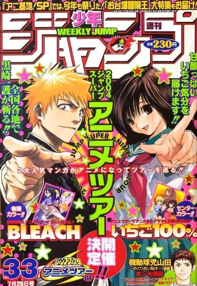 Cover of No. 33, 2004