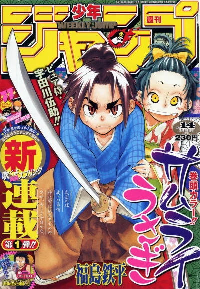 Cover of No. 14, 2007