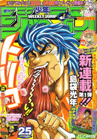 Cover of No. 25, 2008