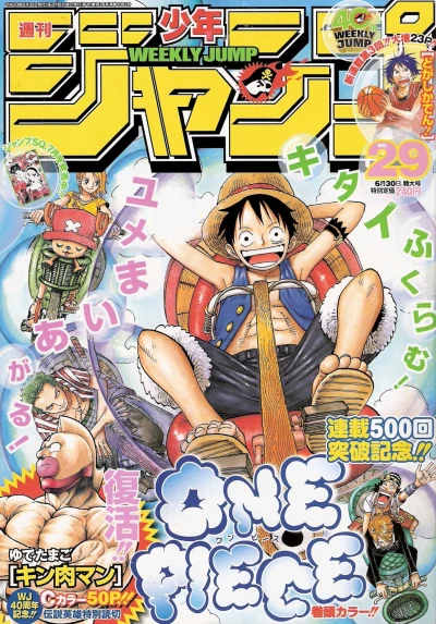 Cover of No. 29, 2008
