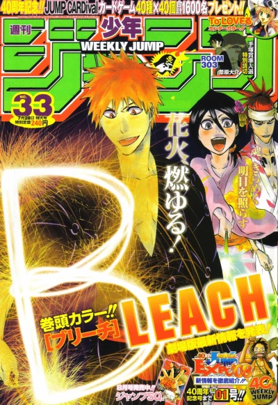 Cover of No. 33, 2008