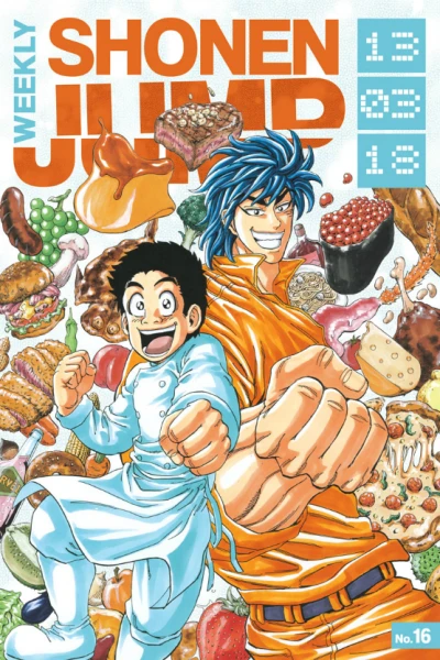 Cover of No. 16, 2013